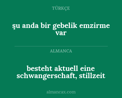şu anda bir gebelik emzirme var - besteht aktuell eine schwangerschaft, stillzeit