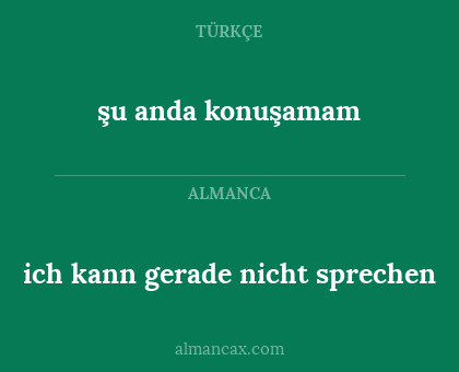 ich kann gerade nicht sprechen - şu anda konuşamam