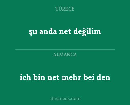şu anda net değilim - ich bin net mehr bei den