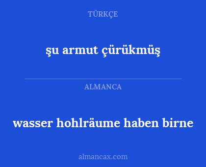 wasser hohlräume haben birne - şu armut çürükmüş