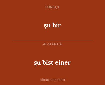 şu bir - şu bist einer