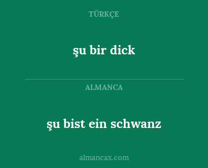 şu bir dick - şu bist ein schwanz