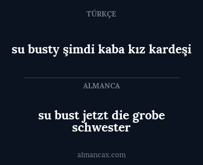 su busty şimdi kaba kız kardeşi - su bust jetzt die grobe schwester