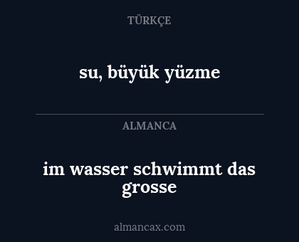 im wasser schwimmt das grosse - su, büyük yüzme