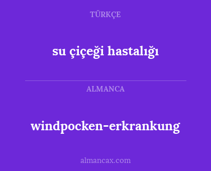 windpocken-erkrankung - su çiçeği hastalığı