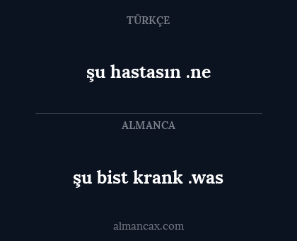 şu bist krank .was - şu hastasın .ne