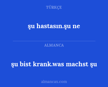şu hastasın.şu ne - şu bist krank.was machst şu