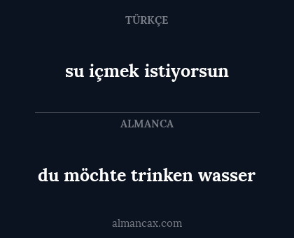 du möchte trinken wasser - su içmek istiyorsun
