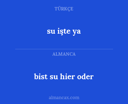 bist su hier oder - su işte ya