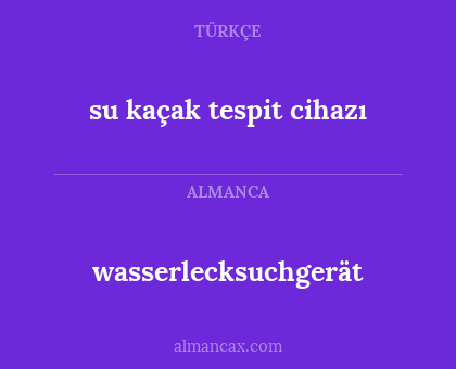 su kaçak tespit cihazı - wasserlecksuchgerät