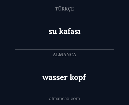 wasser kopf - su kafası