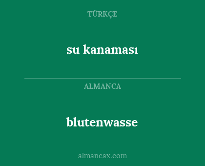 su kanaması - blutenwasse