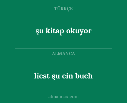 liest şu  ein buch - şu kitap okuyor