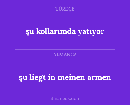 şu kollarımda yatıyor - şu liegt in meinen armen