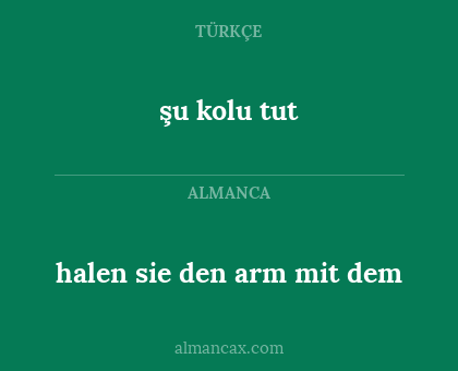 halen sie den arm mit dem - şu kolu tut