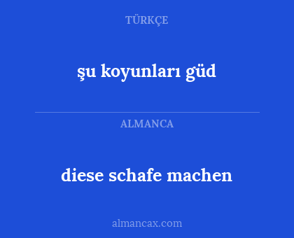 şu koyunları güd - diese schafe machen