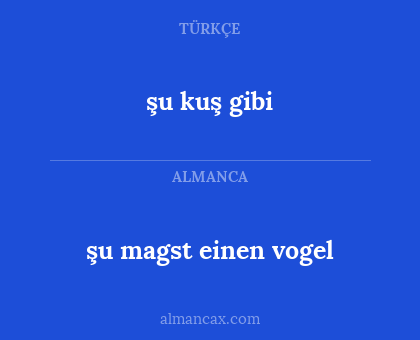 şu kuş gibi - şu magst einen vogel