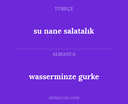 su nane salatalık - wasserminze gurke