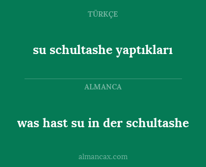 su schultashe yaptıkları - was hast su in der schultashe