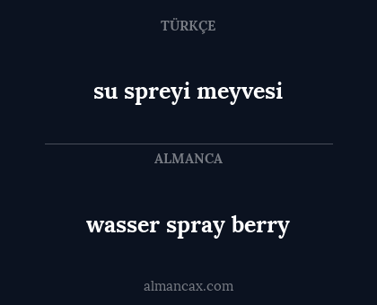 wasser spray berry - su spreyi meyvesi