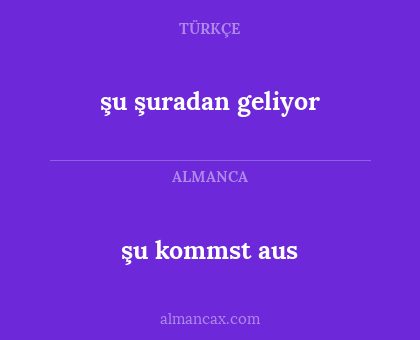 şu kommst aus - şu şuradan geliyor
