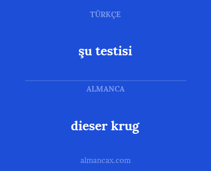 şu testisi - dieser krug