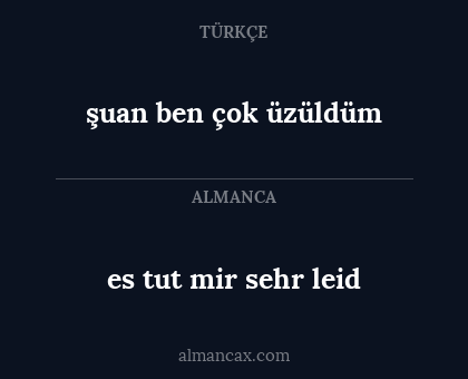 şuan ben çok üzüldüm - es tut mir sehr leid