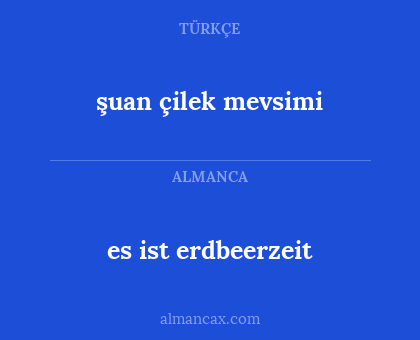 şuan çilek mevsimi - es ist erdbeerzeit