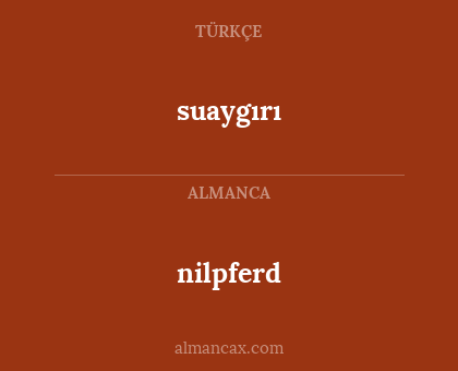 suaygırı - nilpferd