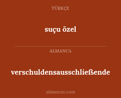 suçu özel - verschuldensausschließende