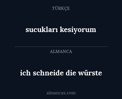 ich schneide die würste - sucukları kesiyorum