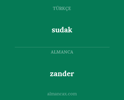 sudak - zander