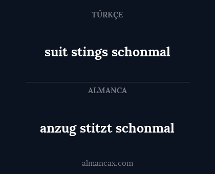 anzug stitzt schonmal - suit stings schonmal