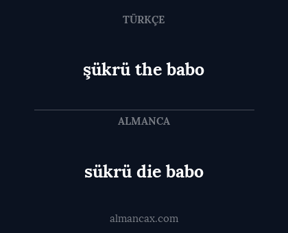 sükrü die babo - şükrü the babo