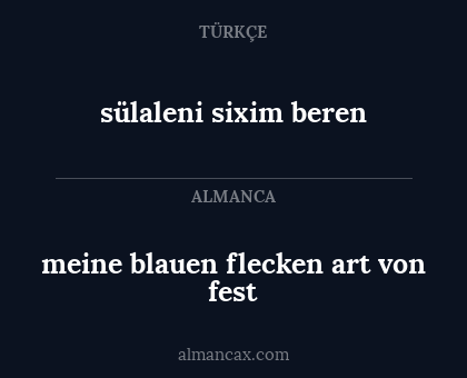 sülaleni sixim beren - meine blauen flecken art von fest