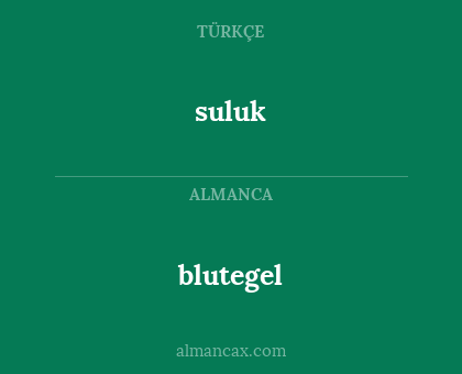 blutegel - suluk