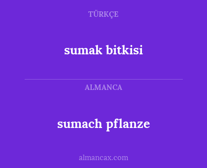 sumach pflanze - sumak bitkisi