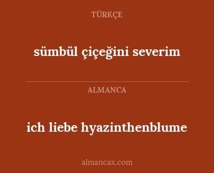 sümbül çiçeğini severim - ich liebe hyazinthenblume