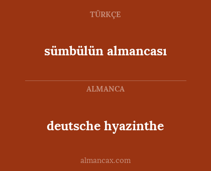 deutsche hyazinthe - sümbülün almancası