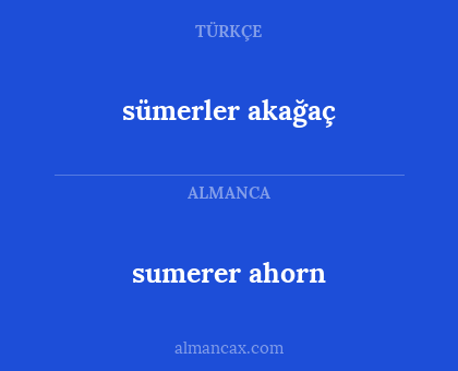 sumerer ahorn - sümerler
akağaç