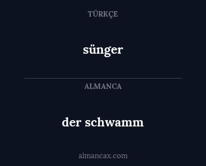 sünger - der schwamm