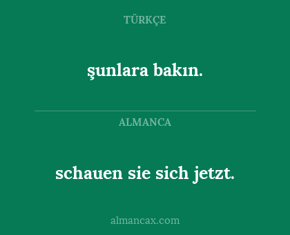 schauen sie sich jetzt. - şunlara bakın.