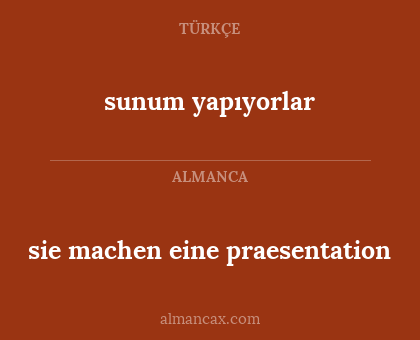 sunum yapıyorlar - sie machen eine praesentation