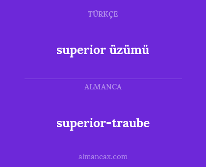 superior-traube - superior üzümü