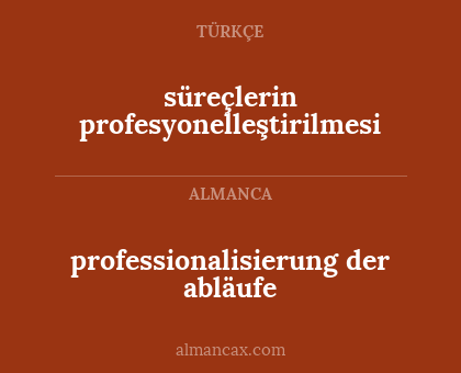 professionalisierung der abläufe - süreçlerin profesyonelleştirilmesi
