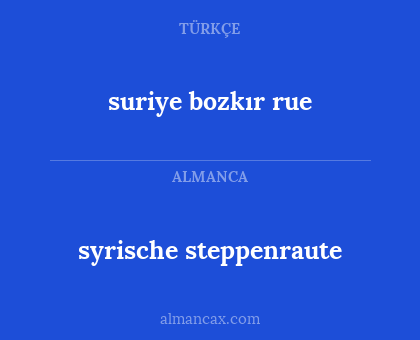 suriye bozkır rue - syrische steppenraute