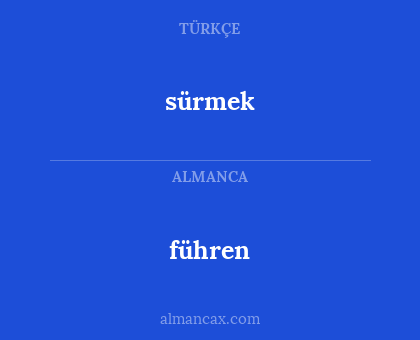 führen - sürmek