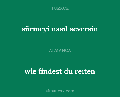 sürmeyi nasıl seversin - wie findest du reiten