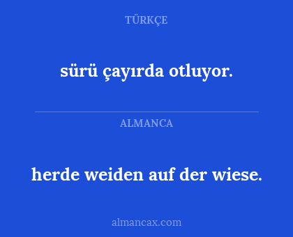 herde weiden auf der wiese. - sürü çayırda otluyor.