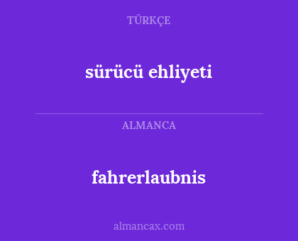 fahrerlaubnis - sürücü ehliyeti